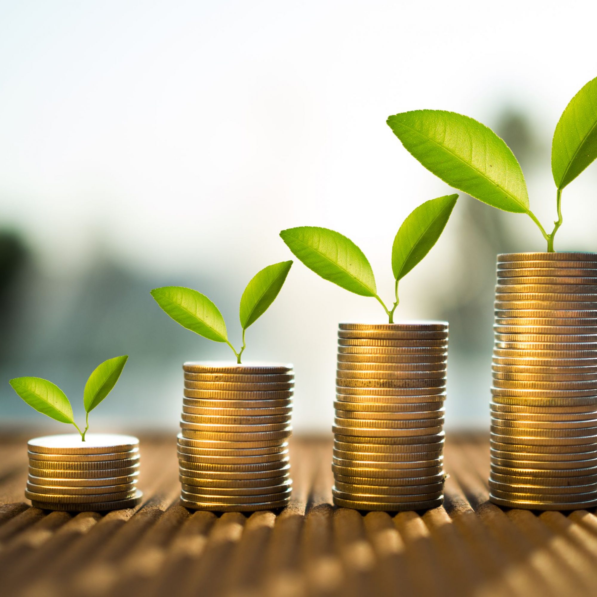 shutterstock_577166506 4MP